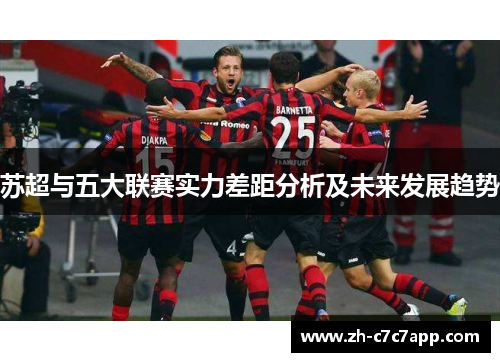苏超与五大联赛实力差距分析及未来发展趋势